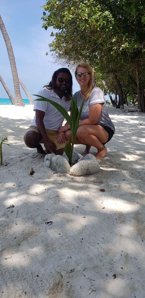 New Palmtree