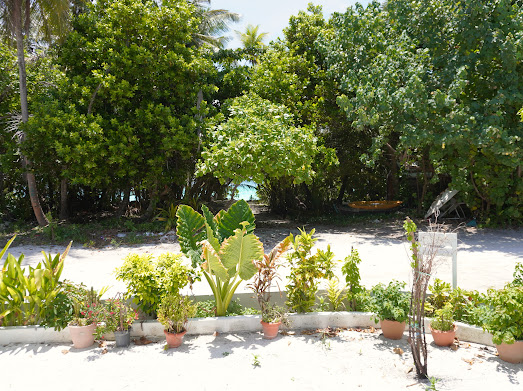 TME Beachside Deluxe