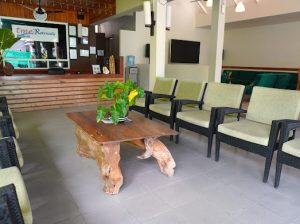 TME Main Areas