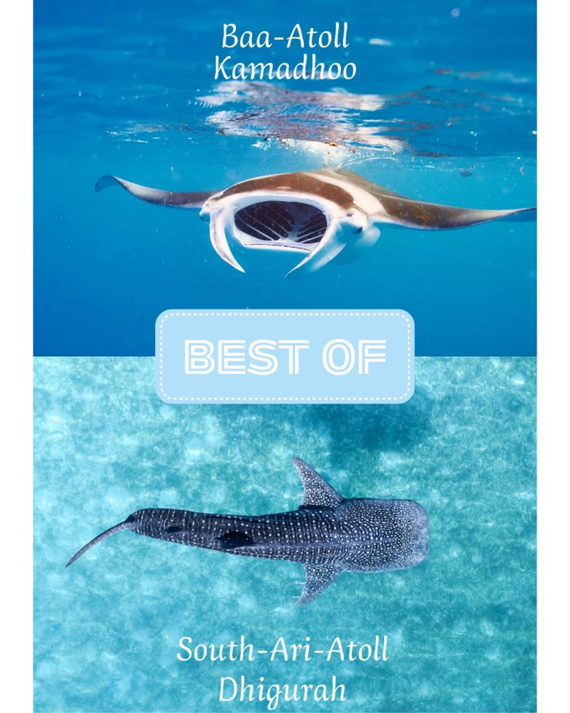 Best of Baa Atoll and South-Ari-Atoll