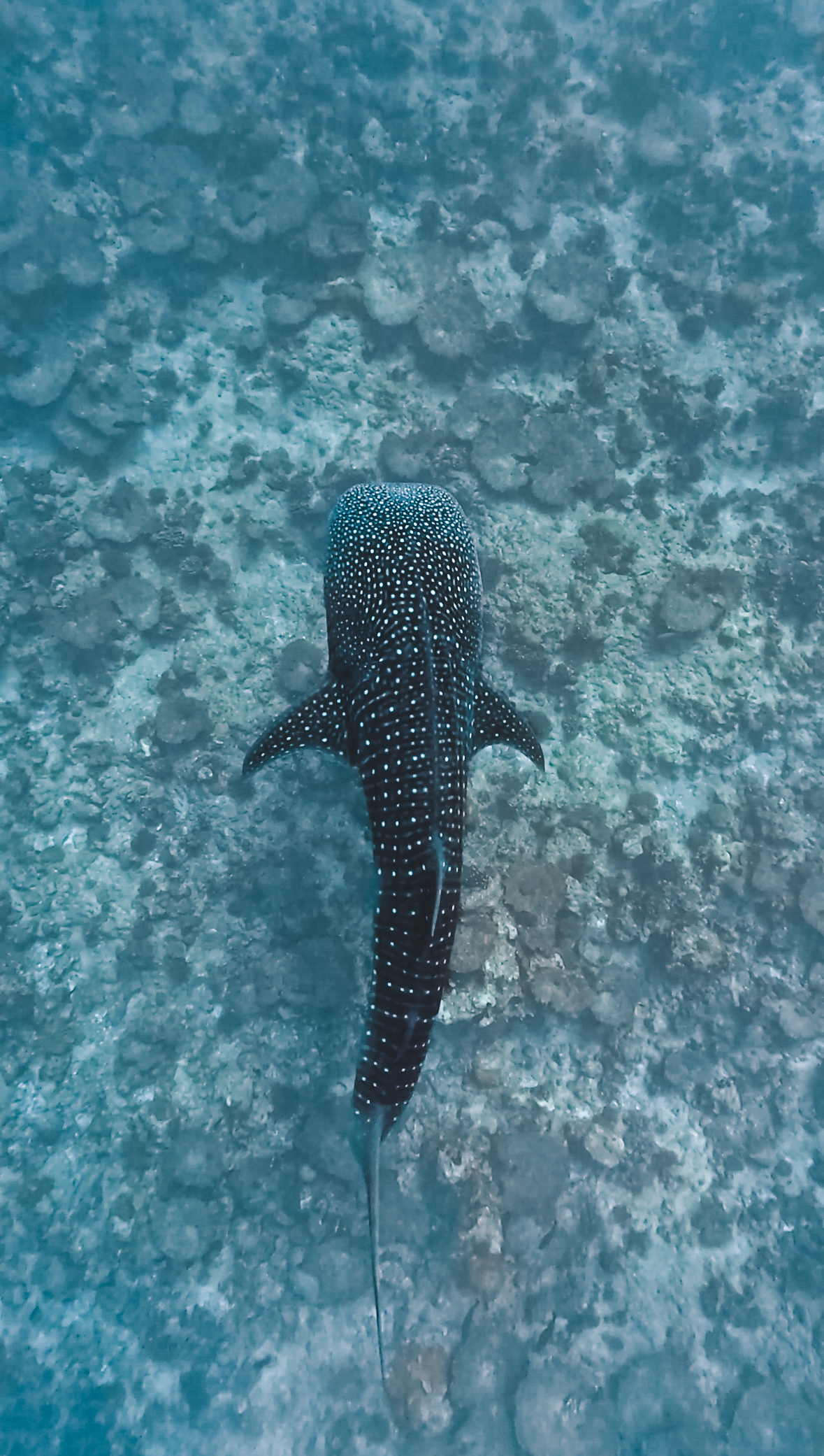 Grouptrip Patricia und Daniela